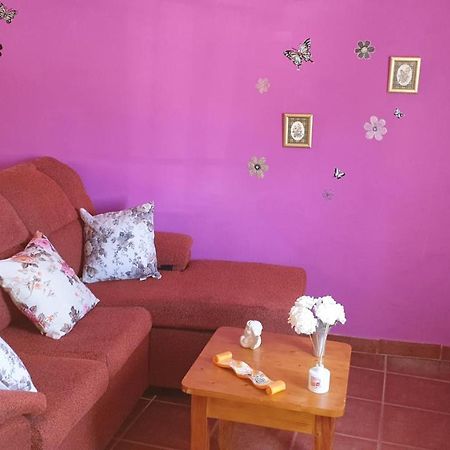 Pequeno Estudio Appartamento Granadilla De Abona Esterno foto